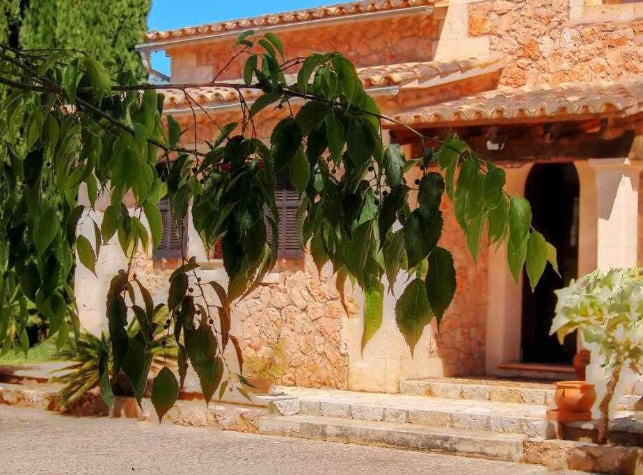 Ciclismo Y Golf Junto A La Playa Finca Son Sant Marti Gran Villa Muro Eksteriør billede